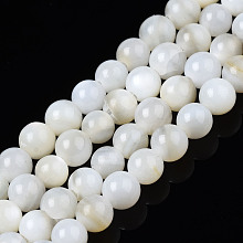 Honeyhandy Natural Freshwater Shell Beads Strands, Dyed, Round, Ghost White, 2.5mm, Hole: 0.5mm, about 122~136pcs/strand, 14.57 inch~15.63 inch(37cm~39.7cm)