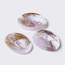 Honeyhandy Natural Freshwater Pearl Shell Decoration, 135~170x95~110x30~40mm