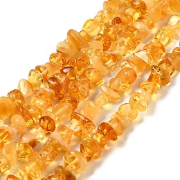 Honeyhandy Natural Amber Chip Beads Strands, 5~8x5~8mm, Hole: 0.8mm, 16.14 inch(41cm)