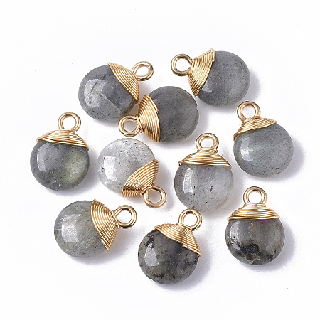 Honeyhandy Natural Labradorite Pendants, with Golden Tone Brass Wires and Iron Loops, Half Hole/Drilled, Flat Round, 14~15x10~11x5~6mm, Hole: 1.5~2mm