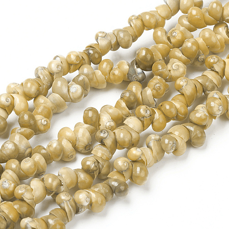 Natural Spiral Shell Beads Strands, Dyed, Dark Khaki, 5~6x4~5x3~3.5mm, Hole: 0.8~1mm, about 381~443pcs/strand, 35.83 inch~36.81  inch(91~93.5cm)