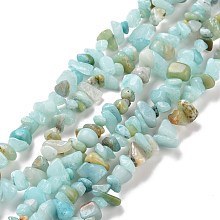 Honeyhandy Natural Amazonite Chips Beads Strands, 5~8x5~8mm, Hole: 1mm, about 31.5 inch