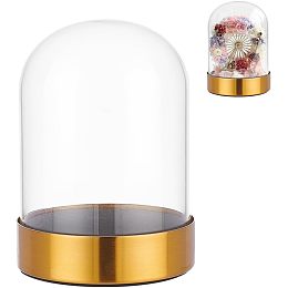 NBEADS Clear Glass Dome, 4.13×5.71 Inch Clear Display Dome Cloche Dome Bell Jar with 304 Stainless Steel Base for Flower Collectibles Tabletop CenterPc Home Party Decor Crafts