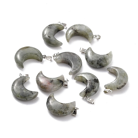 Honeyhandy Natural Labradorite Pendants, with Platinum Brass Loops, Moon, 29x18~21x7~10mm, Hole: 6x3mm