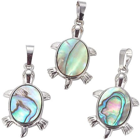 CHGCRAFT About 10pcs Abalone Shell Pendants with Platinum Brass Findings Tortoise Shaped Charms for DIY Jewelry Making 31.5x18.5x3.5mm