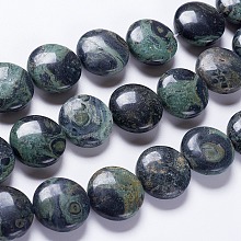 Honeyhandy Natural Kambaba Jasper Beads Strands, Flat Round, 20x7~8mm, Hole: 1mm, about 20pcs/strand, 15.7 inch