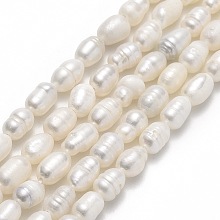 Honeyhandy Natural Cultured Freshwater Pearl Beads Strands, Rice, Linen, 5~7x4~5mm, Hole: 0.6mm, about 49~51pcs/strand, 13.58 inch(34.5cm)