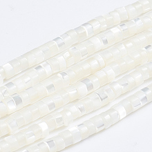 Honeyhandy Natural Trochid Shell/Trochus Shell Beads Strands, Column, White, 3.5~4x2~2.5mm, Hole: 0.8mm, about 176pcs/strand, 15.94 inch(40.5cm)