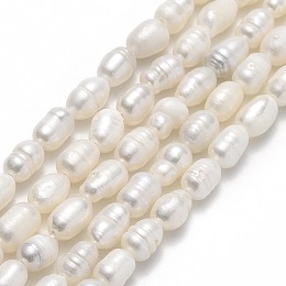 Honeyhandy Natural Cultured Freshwater Pearl Beads Strands, Rice, Linen, 5~7x4~5mm, Hole: 0.6mm, about 49~51pcs/strand, 13.58 inch(34.5cm)