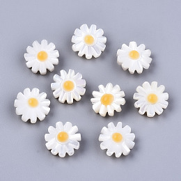 ARRICRAFT Natural White Shell Mother of Pearl Shell Beads, Flower, Seashell Color, 10x5mm, Hole: 0.8mm