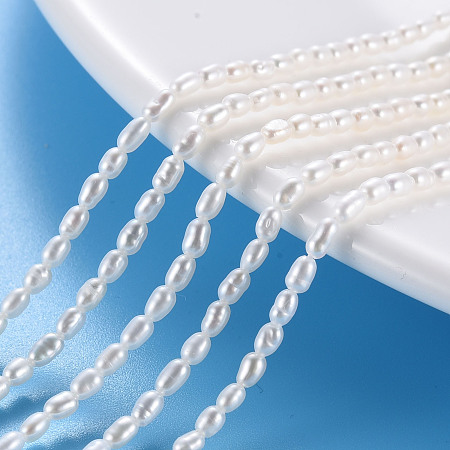 Arricraft Natural Cultured Freshwater Pearl Beads Strands, Rice, 2~4x1.5~2.5x1.5~2.5mm, Hole: 0.35mm, about 118~120pcs/strand, 14.25 inch~14.76 inch(36.2~37.5cm)