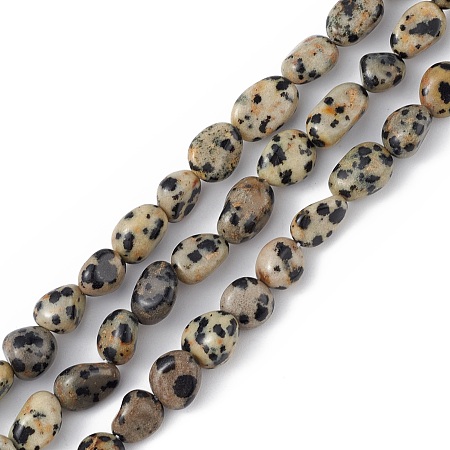 Natural Dalmatian Jasper Beads Strands, Chip, 5~11x4~7x4~7mm, Hole: 1mm, about 46~48pcs/strand, 15.35''(39cm)