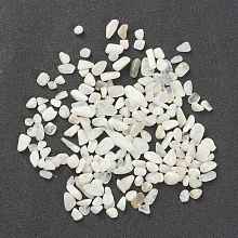 Honeyhandy Natural Moonstone Beads, No Hole/Undrilled, Chip, 6.5~18.5x3~7.5x1.5~3.5mm, about 1600pcs/500g