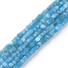 Honeyhandy Natural Apatite Beads Strands, Faceted, Cube, 2x2x2mm, Hole: 0.6mm, about 182pcs/strand, 15.16''~15.55''(38.5~39.5cm)