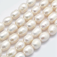 Honeyhandy Grade AA Natural Cultured Freshwater Pearl Beads Strands, Oval, Floral White, 8~9x7~8mm, Hole: 0.8mm, about 43pcs/strand, 14.9 inch