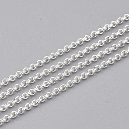 Honeyhandy 304 Stainless Steel Rolo Chains, Belcher Chain, Unwelded, with Spool, Silver Color Plated, 2x1mm, about 32.8 Feet(10m)/roll