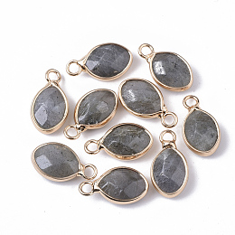 Honeyhandy Natural Labradorite Pendants, with Golden Tone Brass Open Back Bezel, Faceted, Teardrop, 17x9x5mm, Hole: 2mm