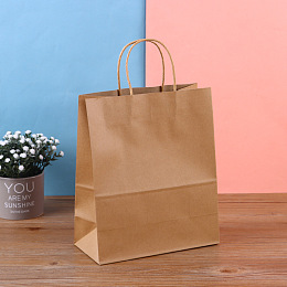 Honeyhandy Kraft Paper Bags, with Hemp Rope Handles, Gift Bags, Shopping Bags, Rectangle, Tan, 8x15x21cm