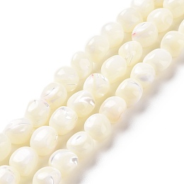 Honeyhandy Natural Trochid Shell Beads Strands, Round, Seashell Color, 8~9x7.5~9.5x7.5~9.5mm, Hole: 0.8mm, about 45pcs/strand, 15.35~15.55 inch(39~39.5cm)