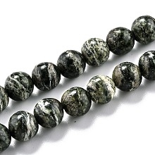 Honeyhandy Natural Green Zebra Jasper Beads Strands, Round, 6.5mm, Hole: 1mm, about 58pcs/strand, 15.16''(38.5cm)