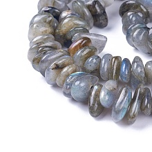 Honeyhandy Natural Labradorite Beads Strands, Chips, 4~12x3~8x1~6mm, Hole: 1mm, about 14.9 inch~16.1 inch(38~41cm)