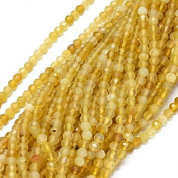 Honeyhandy Natural Yellow Opal Beads Strands, Faceted, Round, 2mm, Hole: 0.5mm, about 190pcs/strand, 15.5 inch(39.5cm)