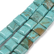 Honeyhandy Natural Howlite Beads Strands, Dyed, Flat Slice Square Beads, Medium Turquoise, 9.5~10x9.5~10mm, Hole: 1mm, about 15pcs/strand, 5.9 inch