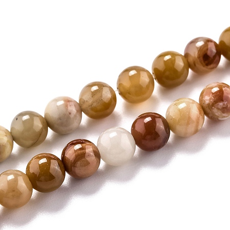 Honeyhandy Natural Petrified Wood Beads Strands, Round, 6.5mm, Hole: 1mm, about 63pcs/strand, 15.55''(39.5cm)