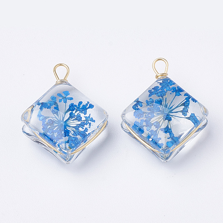 Honeyhandy Glass Pendants, with Dried Flower Inside & Brass Findings, Rhombus, Golden, Dodger Blue, 21~22x16x9mm, Hole: 2mm