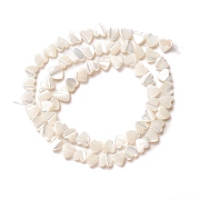 Honeyhandy Natural Trochid Shell/Trochus Shell Beads, Peach Heart, Seashell Color, 6.5x6.5x2~2.5mm, Hole: 0.8mm, about 67pcs/strand, 17.15 inch(43.55cm)