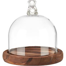 NBEADS Round Glass Display Dome Cloche, Mini Glass Cloche Dome Clear Bell Jar Cloche Plant Terrarium Decor with Brown Wood Base 4.4× 4.3" for Flower Crafts Decorations