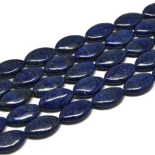 Honeyhandy Natural Lapis Lazuli Beads Strands, Horse Eye, 20x12~12.5x6mm, Hole: 1mm, about 20pcs/strand, 15.16''(38.5cm)