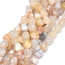 Honeyhandy Natural Cherry Blossom Agate Beads Strands, Tumbled Stone, Nuggets, 14~16x10~14mm, Hole: 1.2mm, about 24~26pcs/strand, 15.5 inch