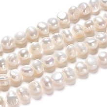 Honeyhandy Natural Cultured Freshwater Pearl Beads Strands, Two Sides Polished, Nuggets, Antique White, 6~8x4.5~6x5~6.5mm, Hole: 0.6mm, about 29pcs/strand, 6.93 inch(17.6cm)