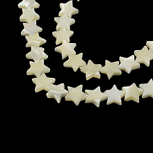 Honeyhandy Star Shape Natural Sea Shell Beads Strands, 12~13x12~13x3~4mm, Hole: 1mm, about 38pcs/strand, 15.3 inch