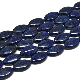 Honeyhandy Natural Lapis Lazuli Beads Strands, Horse Eye, 20x12~12.5x6mm, Hole: 1mm, about 20pcs/strand, 15.16''(38.5cm)