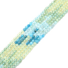 Honeyhandy Natural Apatite Beads Strands, Faceted, Round, 4mm, Hole: 0.8mm, about 108pcs/strand, 15.16''~15.55''(38.5~39.5cm)