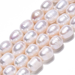 Natural Cultured Freshwater Pearl Beads Strands, Rice, Seashell Color, 10~11.5x8~9mm, Hole: 0.7mm, about 32~33pcs/strand, 13.90 inch~14.37 inch(35.3~36.5cm)