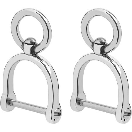 SUPERFINDINGS 2Pcs D Ring Screw Shackles Stainless D Ring Steel Swivel Clasps Keychain with D Ring and O Ring for DIY Crossbody Bag Purse Keychain Accessories