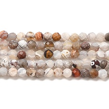 Honeyhandy Natural Mexican Lace Agate Bead Strands, Round, Faceted, 3mm, Hole: 0.6mm, about 140pcs/strand, 15.55''(39.5cm)