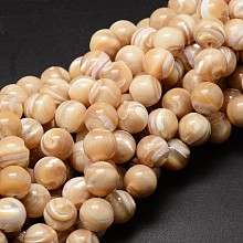 Honeyhandy Natural Sea Shell Beads Strands, Round, Light Salmon, 12mm, Hole: 1mm, about 33pcs/strand, 15.75 inch