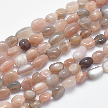 Honeyhandy Natural Moonstone & Sunstone Beads Strands, Nuggets, 8~12x7~9mm, Hole: 0.8mm, 15.1 inch(38.5cm)