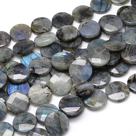 Honeyhandy Natural Labradorite Bead Strands, Faceted, Flat Round, 25x6mm, Hole: 1mm, about 16pcs/strand, 16 inch