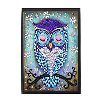 DIY Notebook Diamond Painting Kits, Including A5 Notebook, Resin Rhinestones, Diamond Sticky Pen, Tray Plate and Glue Clay, Owl Pattern, 207x142x8mm, 56 pages/book