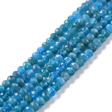 Honeyhandy Natural Apatite Beads Strands, Faceted, Rondelle, 4x3mm, Hole: 0.8mm, about 137pcs/strand, 15.35''(39cm)