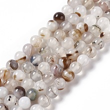 Natural Agate Beads Strands, Grade AB, Round, 8mm, Hole: 1.2mm, about 49pcs/strand, 14.96 inch(38cm)