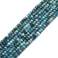 Natural Apatite Beads Strands, Faceted, Rondelle, 6x4mm, Hole: 1mm, about 85~90pcs/strand, 15.55 inch(39.5cm)