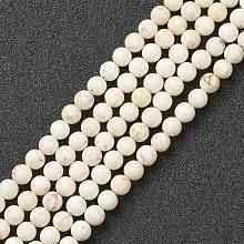 Honeyhandy Nrtutal Magnesite Beads Strands, Round, 6mm, Hole: 0.8mm, about 64pcs/strand, 15.16 inch(38.5cm)