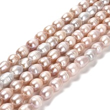 Natural Cultured Freshwater Pearl Beads Strands, Rice, Grade A+, Bisque, 8.5~10.5x6.5~7.5mm, Hole: 0.7mm, about 35~39pcs/strand, 13.19 ~13.58''(33.5~34.5cm)