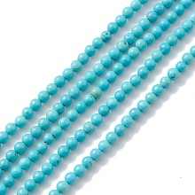 Honeyhandy Natural Howlite Beads Strands, Dyed, Round, Turquoise, 3~4mm, Hole: 0.7~0.8mm, about 116~120pcs/strand, about 15 inch